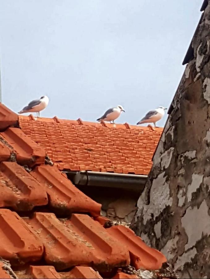 Hvar Heart Heritage Apartment Stari Grad  Bagian luar foto